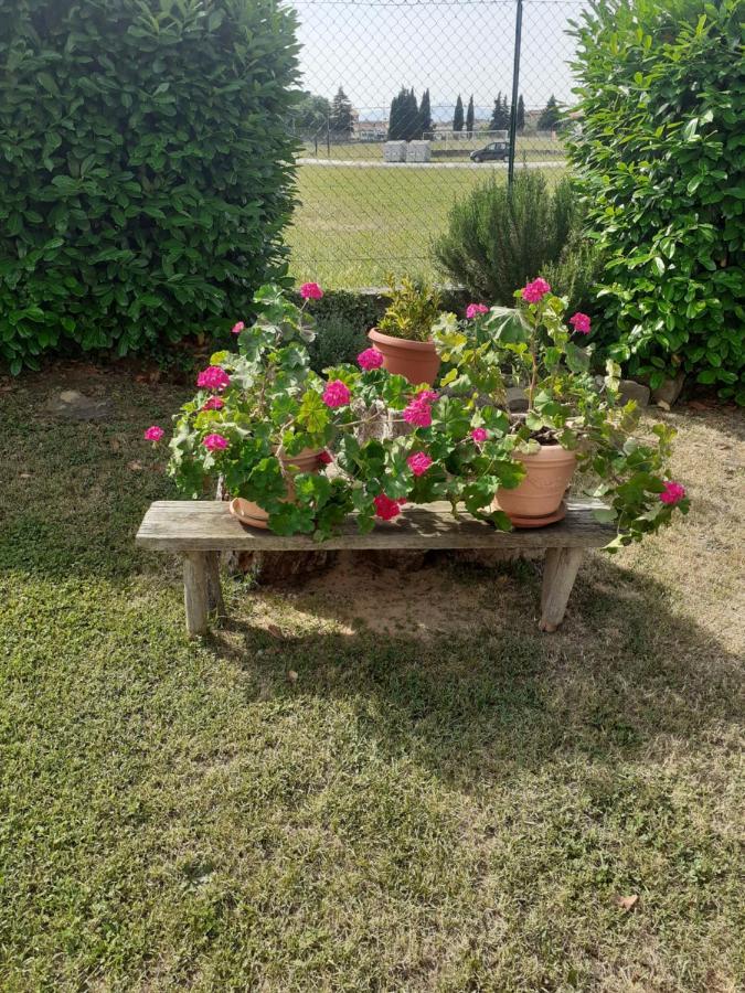 La Fiora Bed & Breakfast Sansepolcro Exterior foto